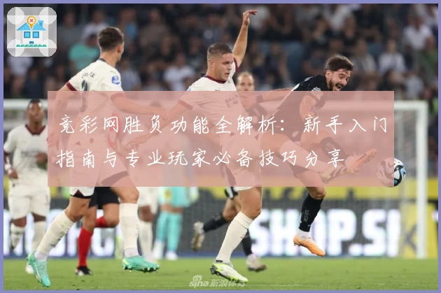 竞彩网胜负功能全解析：新手入门指南与专业玩家必备技巧分享