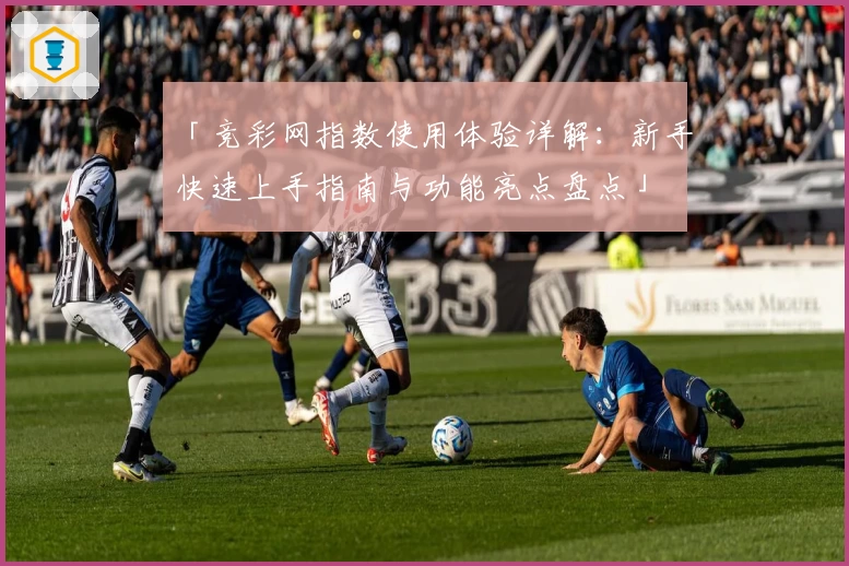 「竞彩网指数使用体验详解：新手快速上手指南与功能亮点盘点」