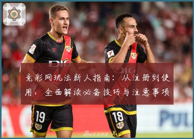 竞彩网玩法新人指南：从注册到使用，全面解读必备技巧与注意事项