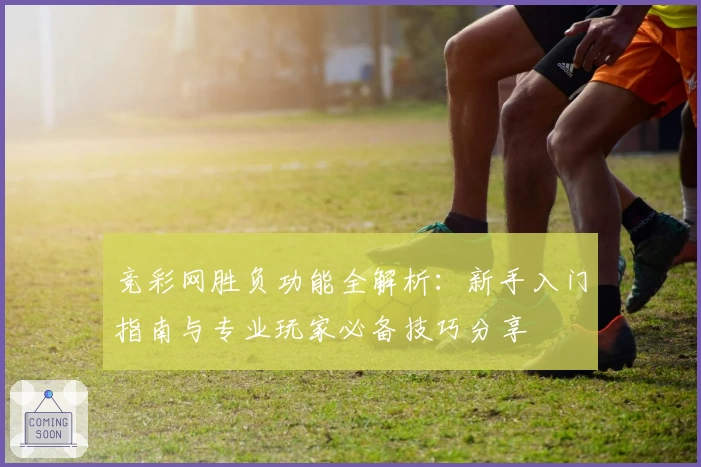 竞彩网胜负功能全解析：新手入门指南与专业玩家必备技巧分享