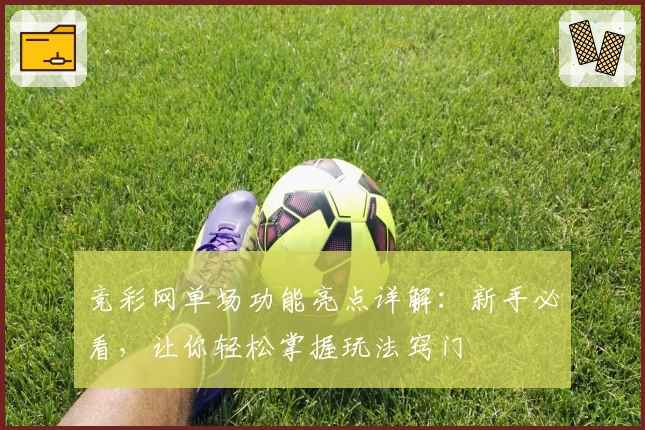 竞彩网单场功能亮点详解：新手必看，让你轻松掌握玩法窍门